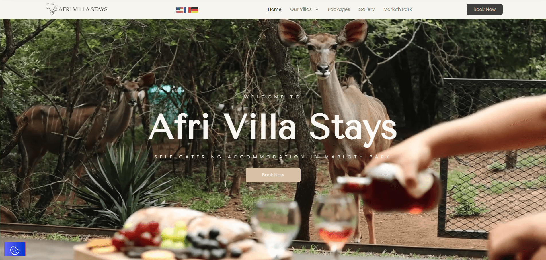 Afri Villa Stays website screenshot