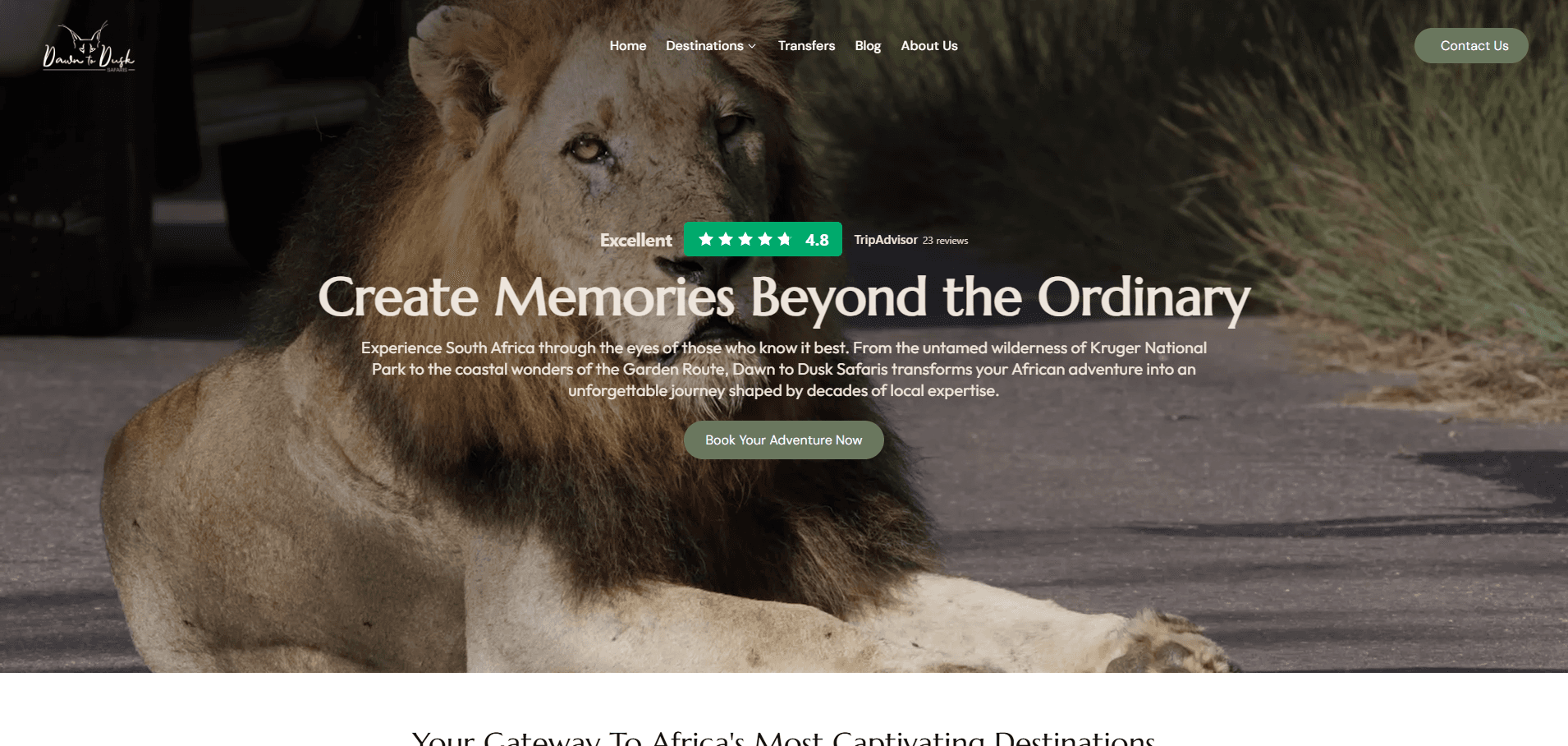 Dawn to Dusk Safaris website screenshot